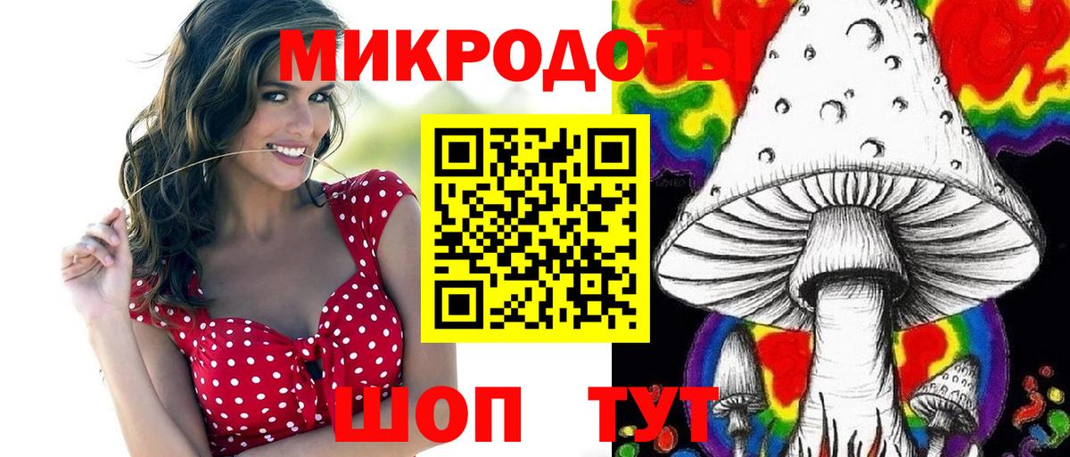 Псилоцибиновые грибы GOLDEN TEACHER  Вход с VPN  Электросталь  Псилоцибиновые грибы мицелий 