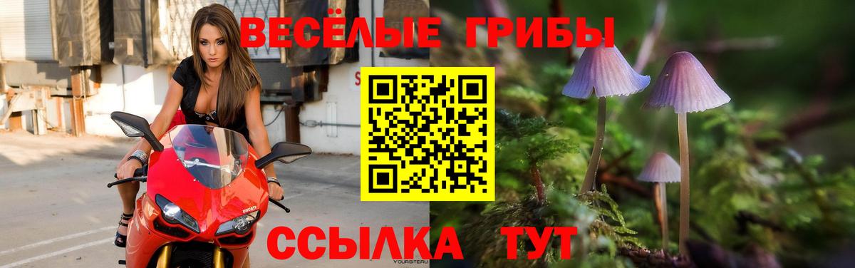 Галлюциногенные грибы ЛСД Электросталь